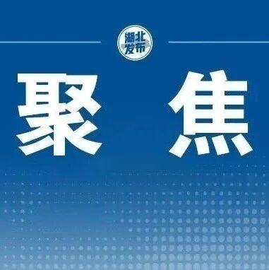 湖北造！实现全国首次载人飞艇商业飞行
